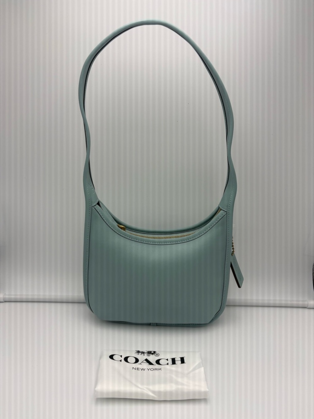 Coach Light Blue Curve Zip Bag